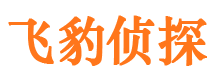 文成市调查公司